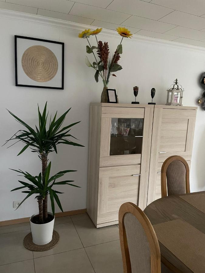 Superb Appartement With 3 Bed Rooms In Antwerpen Zewnętrze zdjęcie